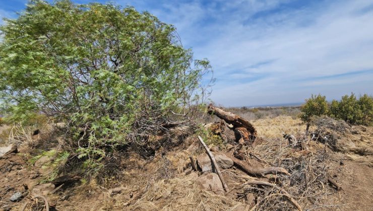 El Gobierno desactivó un nuevo desmonte ilegal, ahora en Suyuque-Los Molles