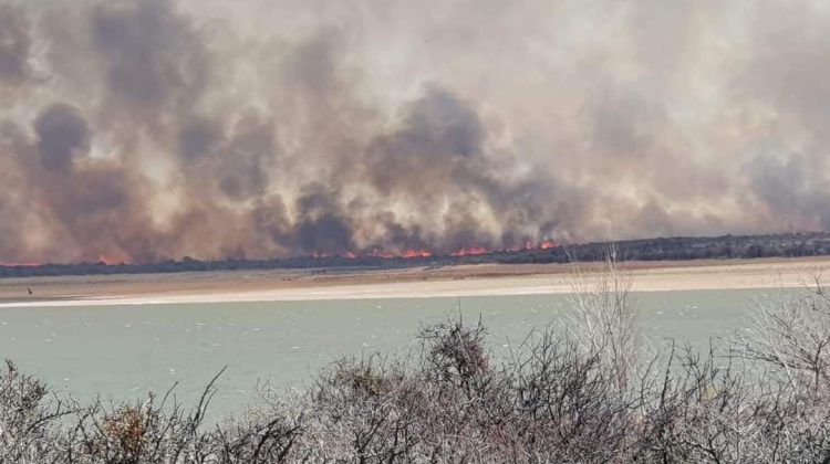 Combaten un incendio forestal en el noreste de la provincia  