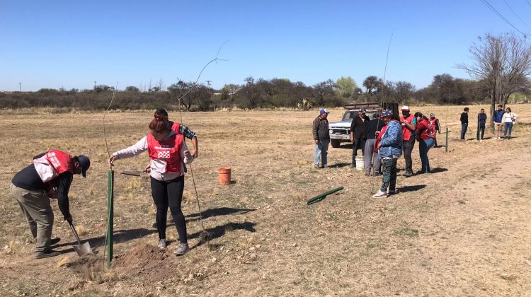 El Plan Forestal “Más árboles, más vida” avanza en todo el territorio provincial