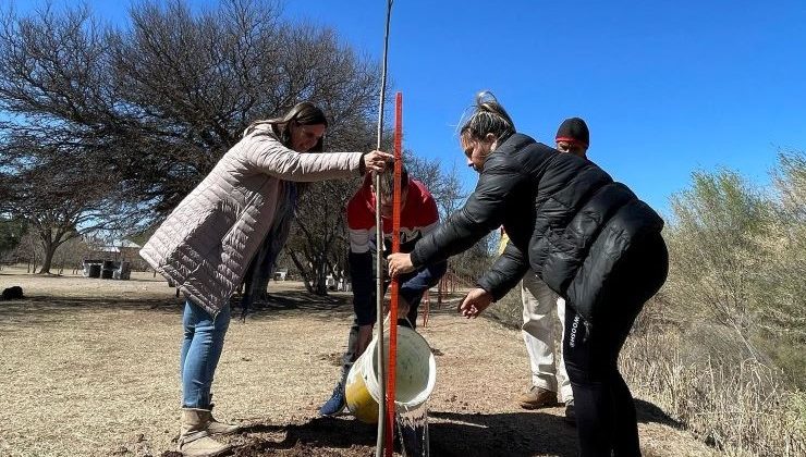 El Monumento al Pueblo Puntano se sumó al Plan “Más árboles, más vida”