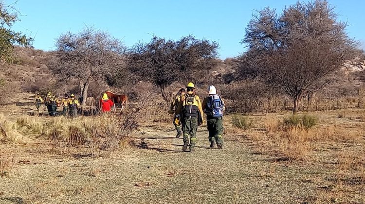 Controlaron el incendio forestal en el noreste de la provincia