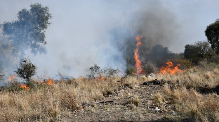 El estado de los incendios en toda la provincia 