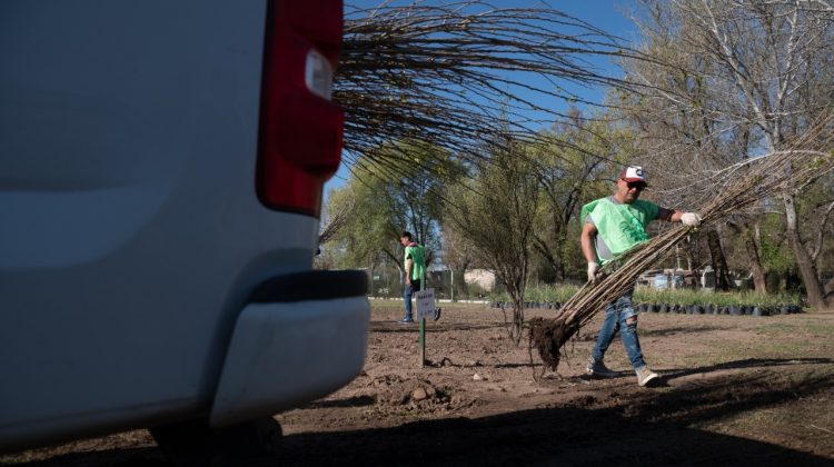 “Más Árboles, Más Vida”: se entregaron ejemplares a nuevos integrantes de la red estratégica de forestación