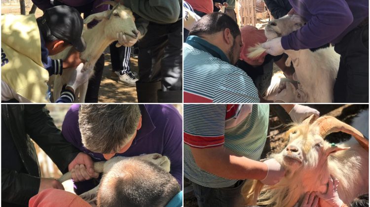 Estudiantes de la Escuela “General San Martín” se acercaron a nuevos conocimientos sobre sanidad animal