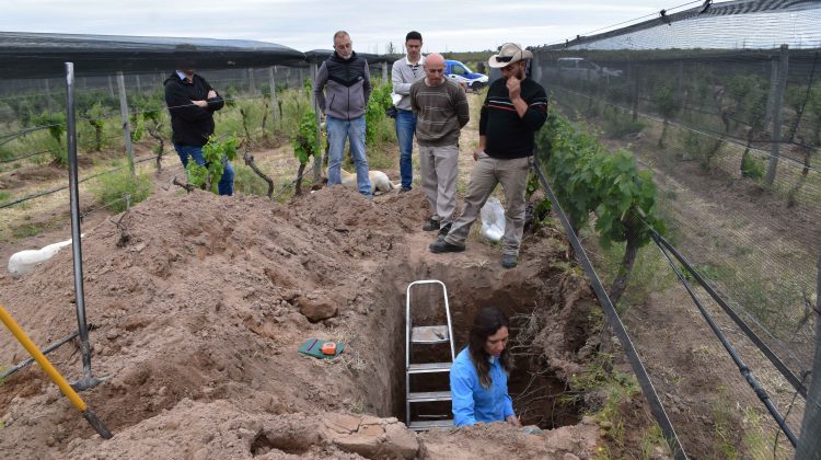 Con muestras de suelo y agua en cuatro viñedos de San Luis, avanza la conformación del Mapa de Aptitud Vitivinícola