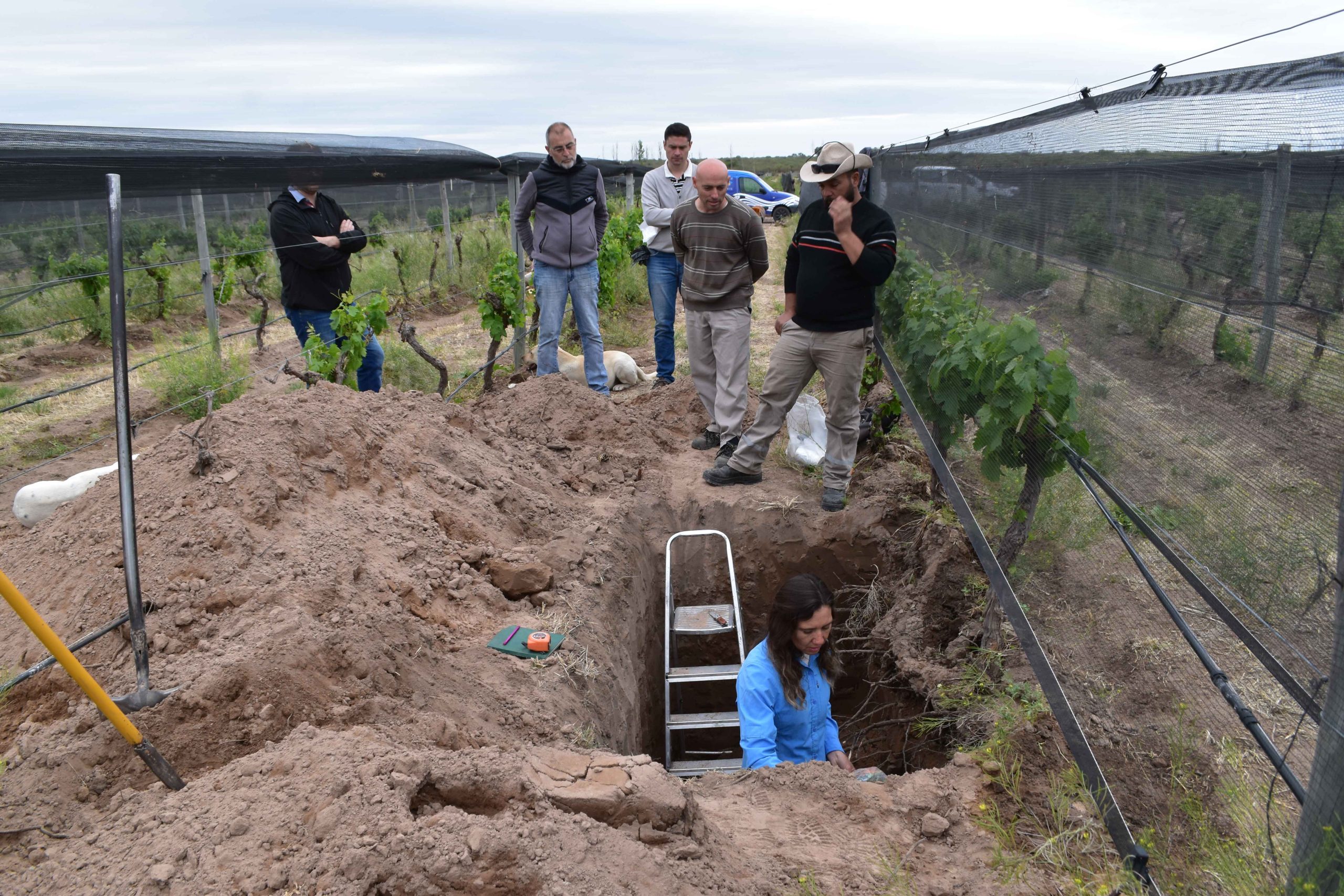 Con muestras de suelo y agua en cuatro viñedos de San Luis, avanza la conformación del Mapa de Aptitud Vitivinícola