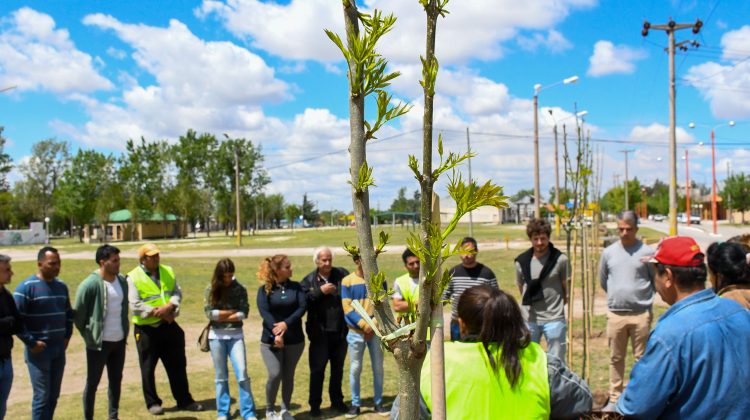 Planificación y ejecución de acciones para la preservación del patrimonio forestal