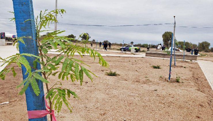 “Más Árboles, Más Vida”: la forestación llegó al B° Pinar del Norte