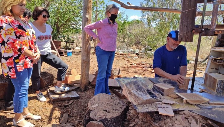 La Secretaría de Ambiente se reunió con artesanos de la madera para fortalecer el trabajo del sector