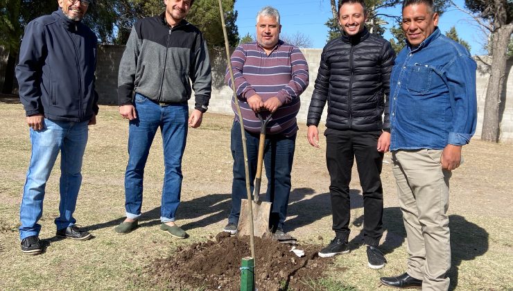 La acción forestal del Plan “Más Árboles, Más Vida” se afianza en toda la provincia