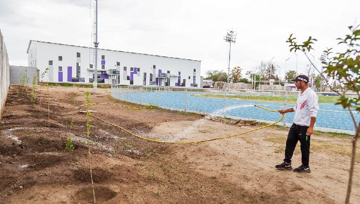 Ambiente y deporte: con 500 árboles, el Centro Deportivo “Pedro Presti” se pintó de verde