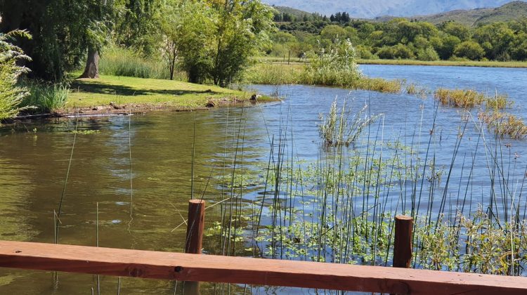 La semana seguirá soleada, cálida y la intensidad del viento será menor