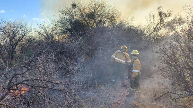 Continúa el combate de incendios forestales 