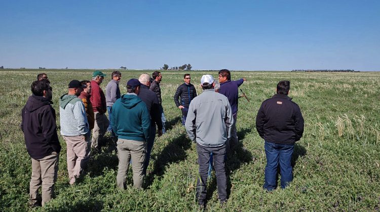 San Luis presentó el Plan Plurianual de Alfalfa en La Pampa