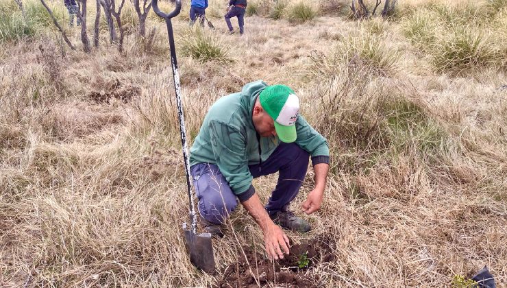 Productores de la Cuenca del Morro se suman al Plan Forestal “Más árboles, más vida”