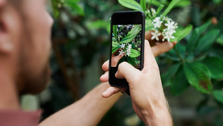 “Flora Nativa, retratando nuestra identidad”: el nuevo concurso fotográfico que busca revalorizar las especies autóctonas