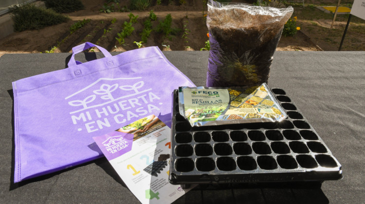 Más de 5000 personas ya cuentan con el kit para el armado de la huerta familiar