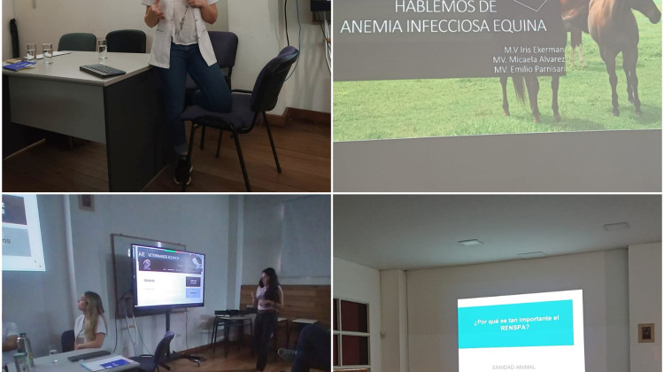 El Laboratorio del Campo expuso sobre Anemia Infecciosa Equina en la UCCuyo