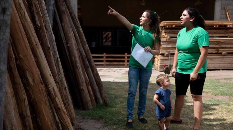 Una política de Estado destinada a propiciar la inserción de los jóvenes en el campo laboral