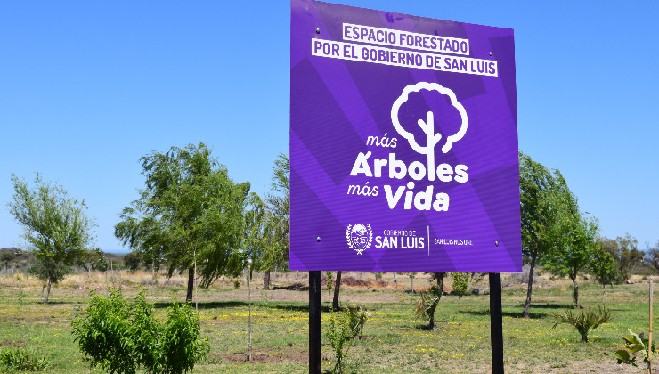 Más árboles, más vida: el Gobierno trabaja en el relevamiento de la forestación provincial