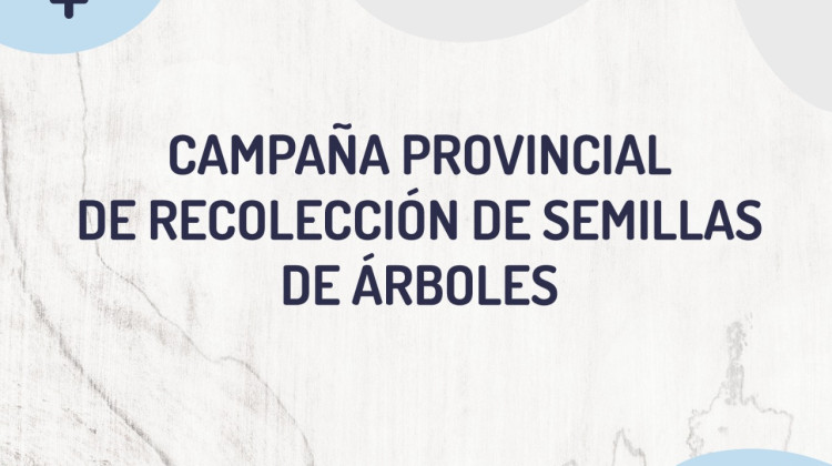 Comienza la campaña de recolección de semillas de árboles