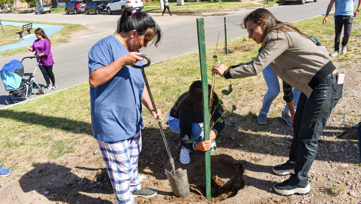 “Más árboles, más vida” continúa fortaleciendo la política forestal en todo el territorio provincial