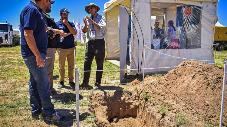 Sigue abierta la inscripción para la segunda edición de la Expo Alfalfa