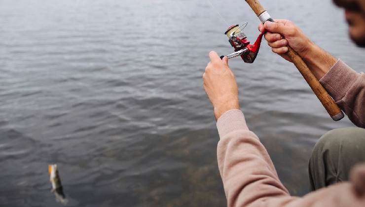 Pesca deportiva: información a considerar para realizar la actividad íctica en la provincia