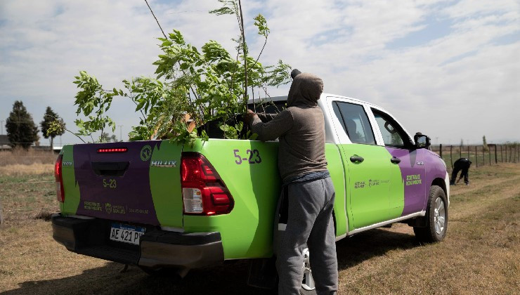 Plan Forestal “Más árboles, más vida”: se retoma de manera progresiva la entrega de ejemplares en toda la provincia