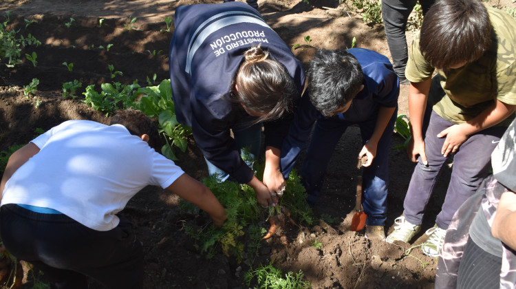 “Cultivando Nuestra Tierra” inició sus actividades