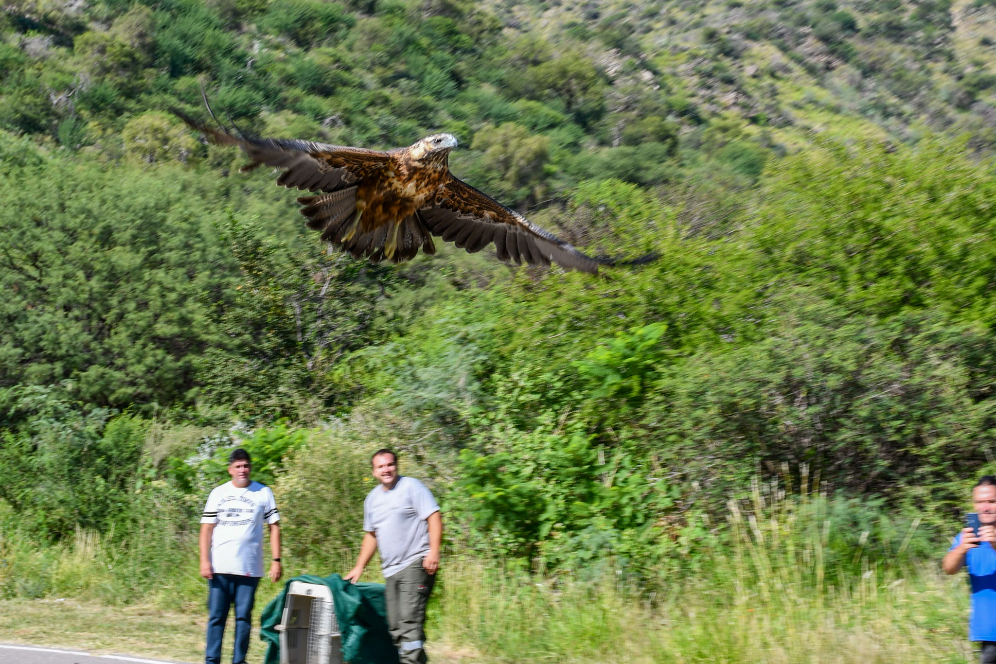 “Quebrada de las Higueritas” recibió con vuelo de libertad a las aves recuperadas
