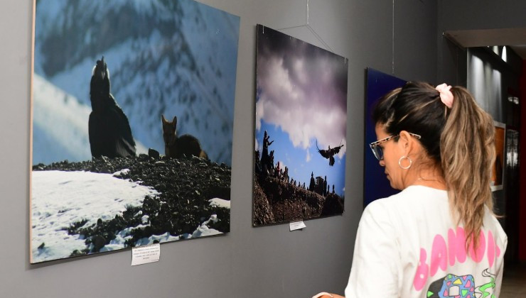 Inauguraron una muestra sobre el cóndor andino en el Centro Cultural Puente Blanco