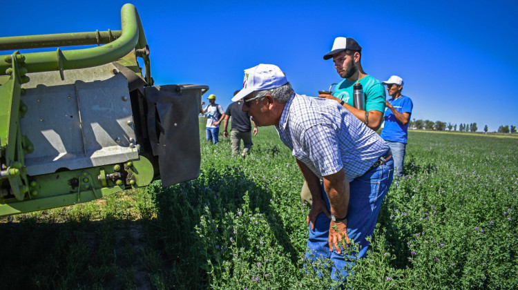 La Expo Alfalfa tendrá importantes disertantes del ámbito técnico y empresarial