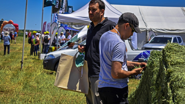 La Expo Alfalfa ya registró más de 340 inscriptos