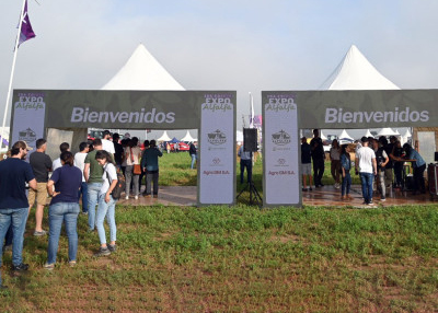 Expo Alfalfa: el modelo de negocio es el eje principal de la segunda edición