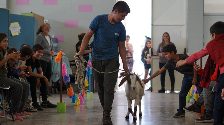 Este jueves se celebró el Día del Animal en el SUM Eva Perón II