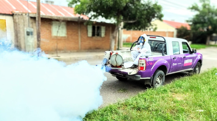 Confirmaron otros cinco casos de dengue en San Luis