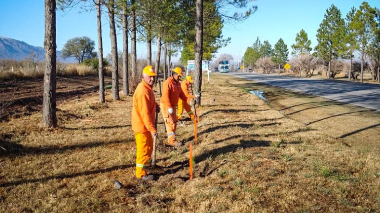 Más de 150 beneficiarios de Inclusión recibirán una certificación como especialistas en forestación con validez nacional