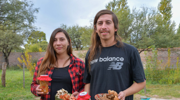 Conocé el emprendimiento agroecológico que busca generar alimento y productos medicinales a base de hongos