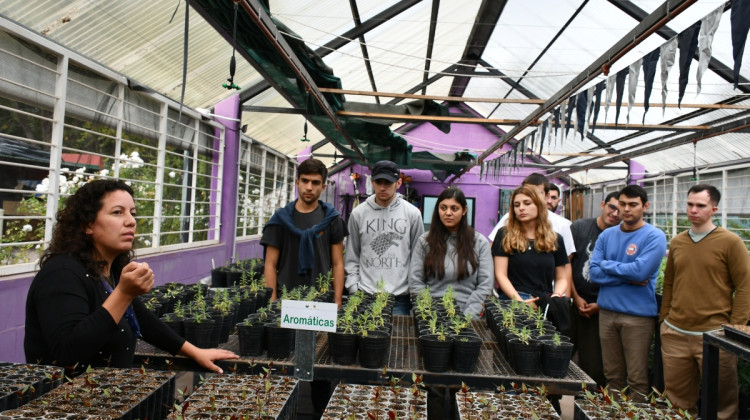 El Ecoparque Cruz de Piedra recibió a alumnos de la Facultad de Ingeniería y Ciencias Agropecuarias de Villa Mercedes