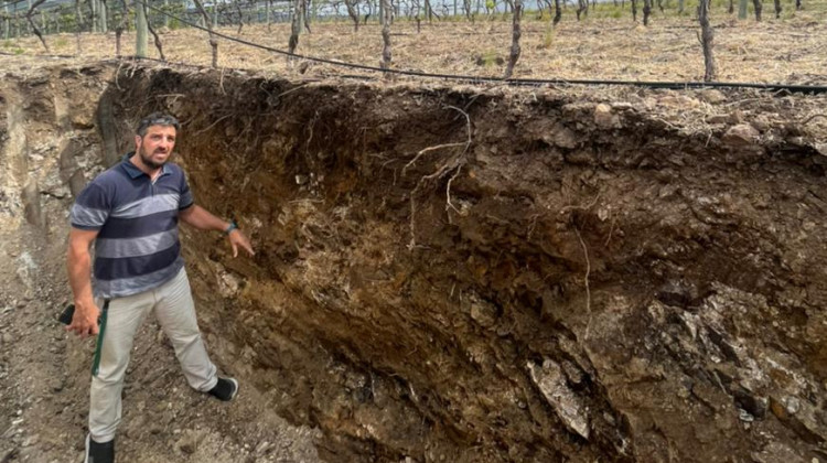 Realizarán muestreos de suelo y agua para evaluar el potencial vitivinícola