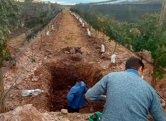 Concretaron la segunda tanda de muestreos de suelo y agua en viñedos