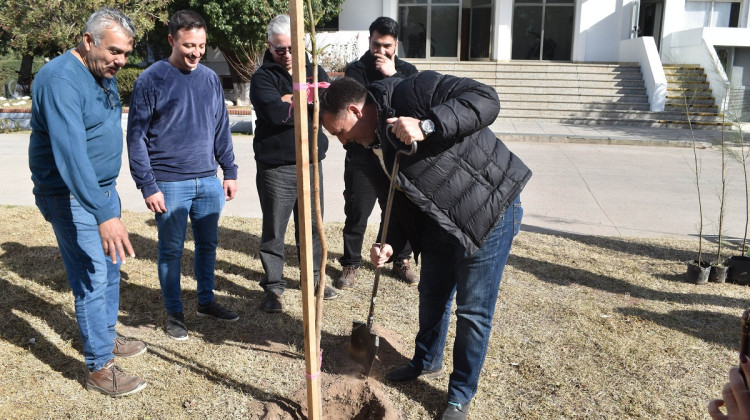 Comenzó la iniciativa “Más Árboles, Más Vida” en las industrias puntanas