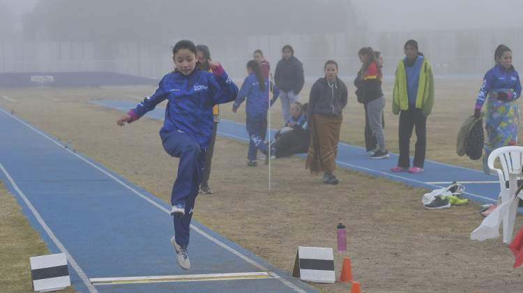 Atletismo: los deportistas de la ULP brillaron en el Provincial