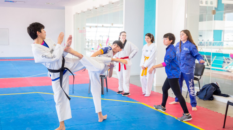 Taekwondo: capacitación arbitral en la ULP