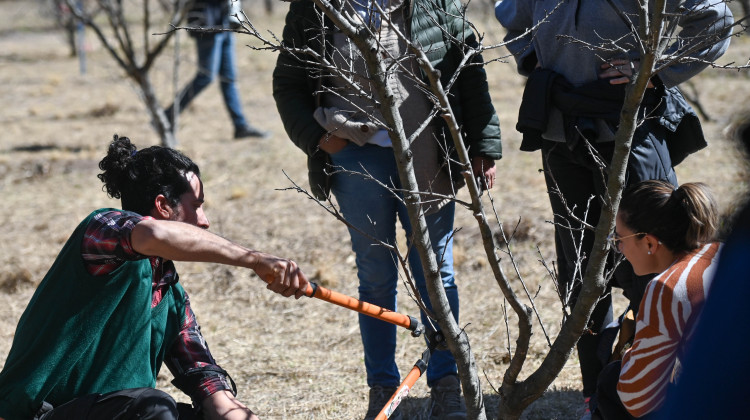 El ecoparque Cruz de Piedra brindó una capacitación de poda de frutales