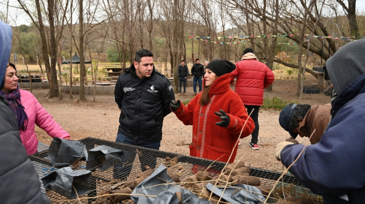 El Ecoparque Cruz de Piedra comenzó con el envasado de fresnos