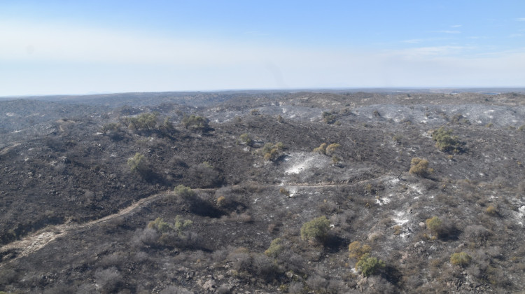 Incendios forestales: no se detectaron focos activos 