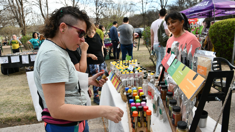 La producción puntana se congregó en la gran feria de Las Chacras