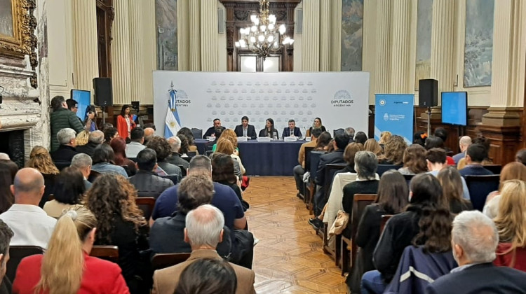 San Luis participó de un nuevo encuentro federal por la acción climática